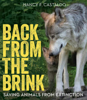 Back from the Brink, nonfiction book cover. 