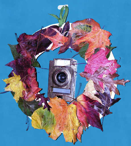 Fall leaf wreath hanging on blue apartment door