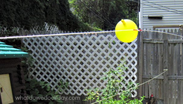 Yellow balloon attached to string in backyard.