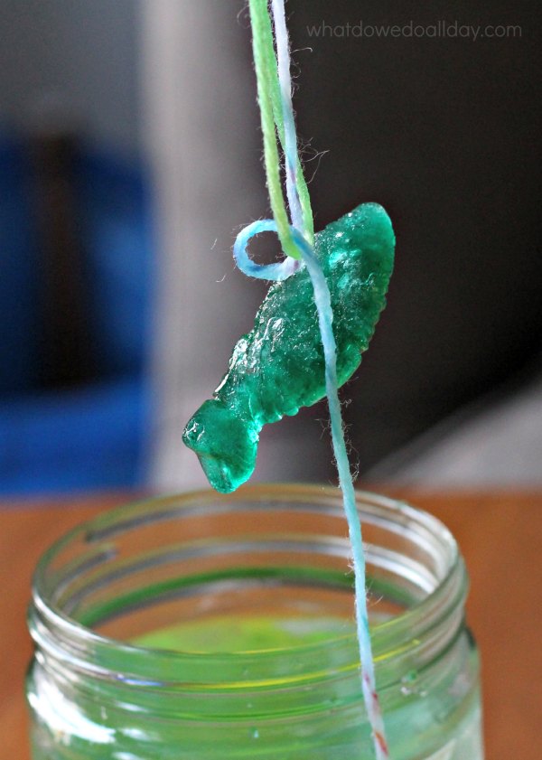 How to lift an ice cube on a string with salt science experiment.