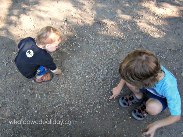 Collecting rocks and reading children's books about rocks