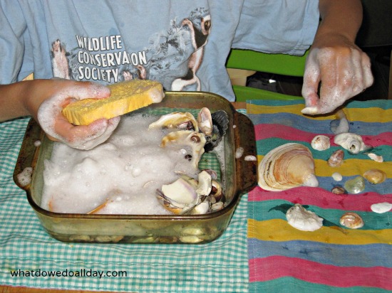 Washing shells activity