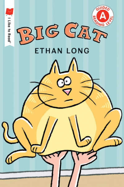 Big Cat 1st grade summer reading  book cover