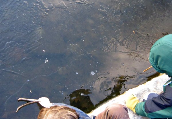 Two children poking at thin ice in a pond with sticks.